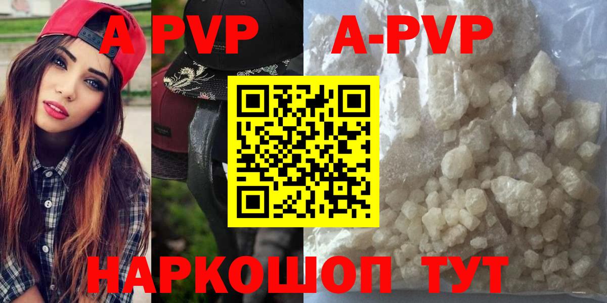 APVP СК Камышлов